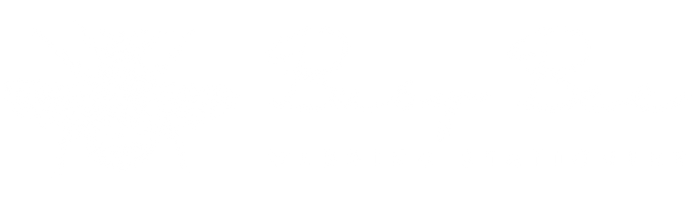 Busy Bee Designs